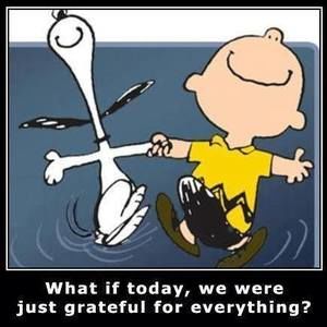 Meet your Posher, Ann